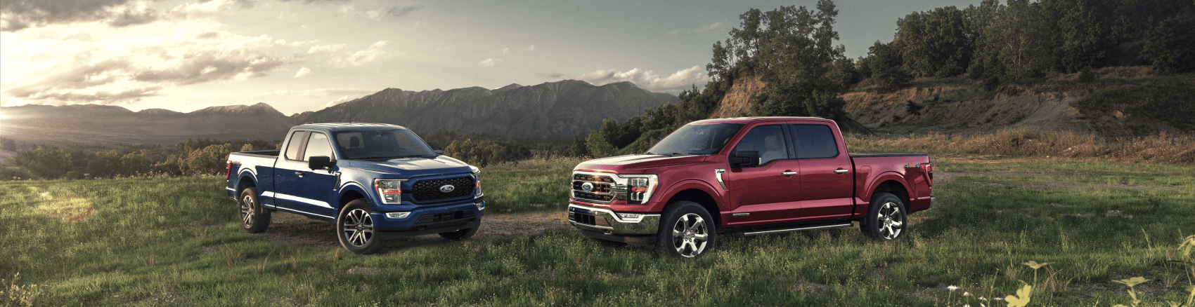 2021 Ford F-150 Blue Red Meadow
