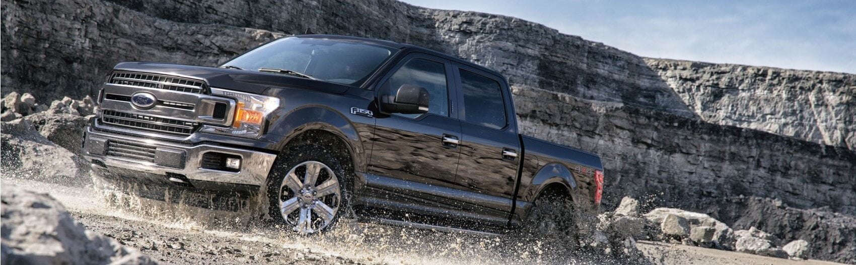 Ford F150 Snipped